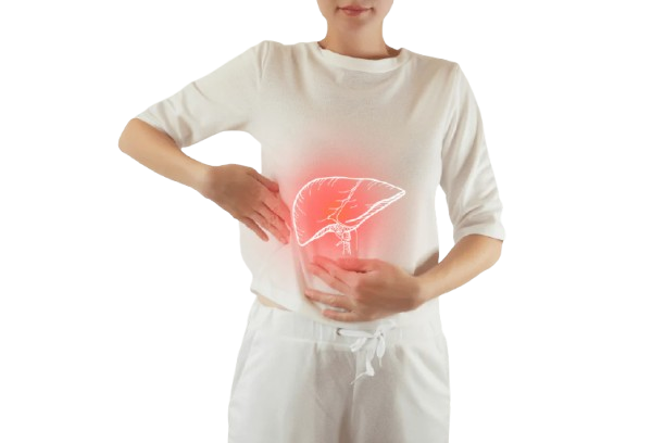 Fatty Liver Program